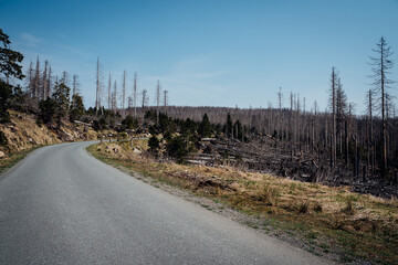 Brockenstraße bei schönem Wetter im Harz