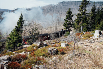 Fototapety na wymiar - Fototapeta24.pl