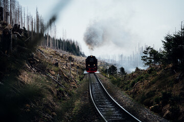 Harzer Eisenbahn fährt in Richtung Brocken durch den Nationalpark Harz. Umgeben von sehr viel Totholz