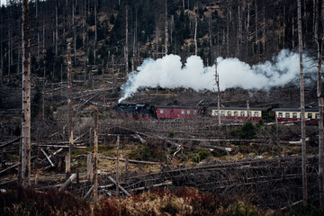 Historische Dampflok fährt durch den zerstörten Wald im Nationalpark Harz