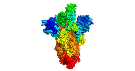 COVID-19 S Omicron Spike protein, B.1.1.529, 3D molecule