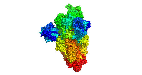 COVID-19 S Omicron Spike protein, B.1.1.529, 3D molecule