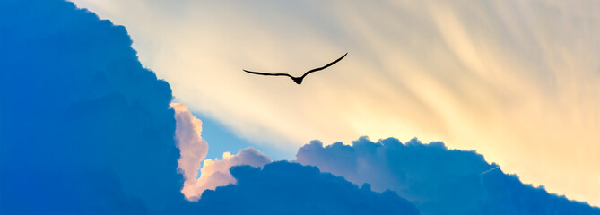 Inspirational Bird Flying Image Banner