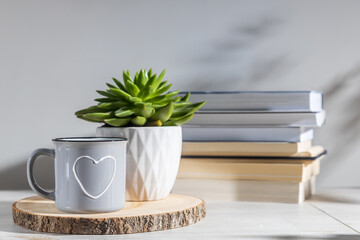 Echeveria in a corrugated white ceramic pot and grey coffee cup with heart on a wooden tray against a white wall on which the shadow of the plant. Copy space