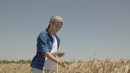 farmer with digital tablet walks through field with wheat. agriculture concept. young woman...
