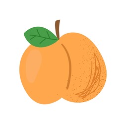 Colorful food sticker. Icon with whole juicy peach. Ripe fresh fruit with vitamins and minerals. Healthy diet or nutritious ingredient. Cartoon flat vector illustration isolated on white background