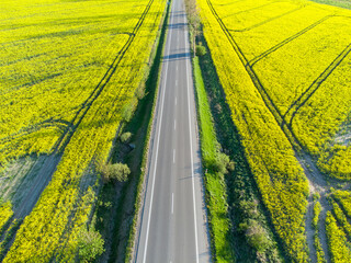 road in the field