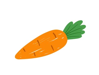 Colorful food sticker. Hand drawn icon with fresh orange carrots. Ripe vegetable with vitamin A and minerals. Ingredient for cooking. Cartoon flat vector illustration isolated on white background