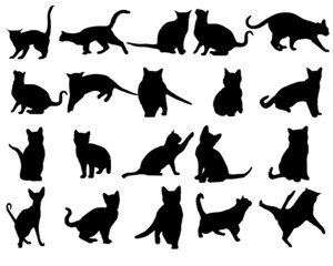 cats silhouettes collection. Cat Images, 
Cat Vector Silhouette Set of Cats Stock Vector - Illustration of playful