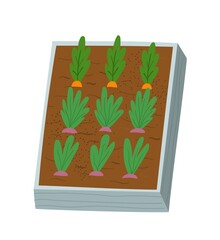 Farming and agriculture concept. Bright sticker with large bed of ripe carrots and turnips. Gardening and harvesting vegetables. Cartoon flat vector illustration isolated on white background
