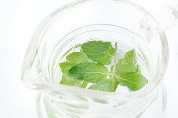 スペアミント　　イメージ