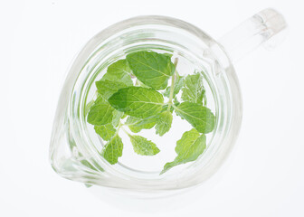 スペアミント　　イメージ