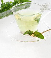 スペアミント　　イメージ