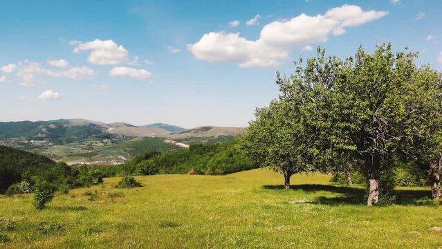 the old pear trees and beautiful landscape hills fields of Brus village, Kosovo