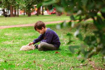 Hispanic boy with a rabbit in the park