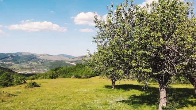 the old pear trees and beautiful landscape hills fields of Brus village, Kosovo