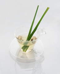 レモングラス　白バック