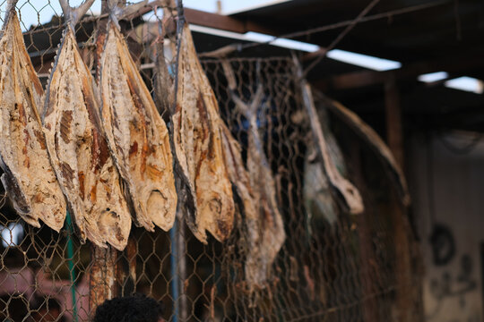 photo of traditional fishes Market in Fao town in basra city