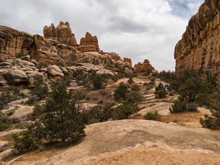 Fototapeta premium Canyonlands National Park, Needles District, Elephant Hill Trail