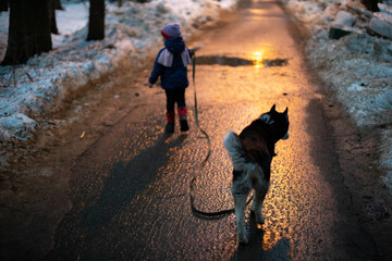 Child walks dog at night. Girl keeps dog in air.