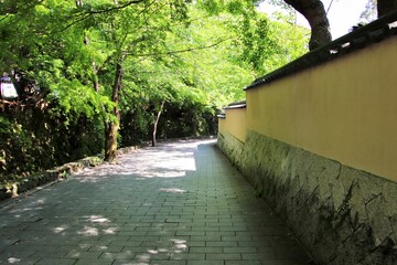 下関市長府の壇具川沿いの遊歩道