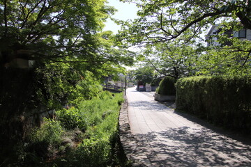 下関市長府の壇具川沿いの遊歩道