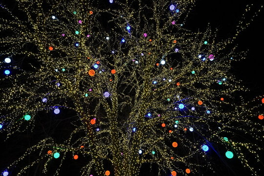 Christmas lights glow up the river walk along the Wisconsin river