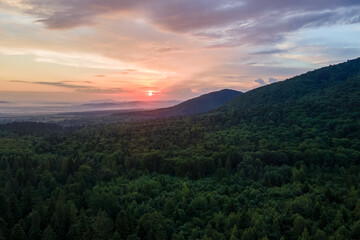 Aerial view of green pine forest with dark spruce trees covering mountain hills at sunset. Nothern woodland scenery from above