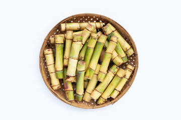 Sugar cane on white background.