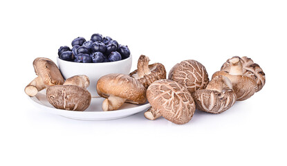 shiitake mushroom isolated on white background