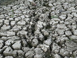 dry crack soil in country Thailand