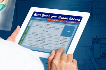 Picture looking through the shoulder of female doctor working on electronic health record.