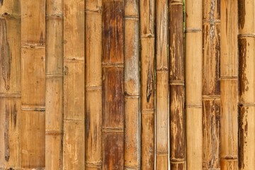 Brown old Bamboo fence texture and background seamless