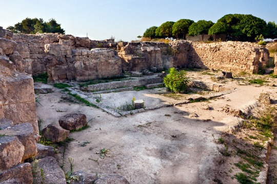 Ugarit ruins Latakia Syria