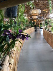 Naklejka premium tree in the garden