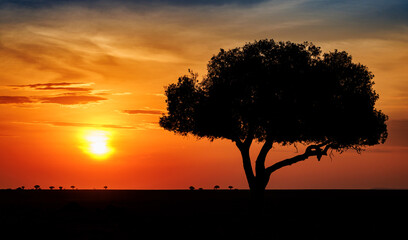 Fototapeta na wymiar Sunset in Masai Mara, Africa