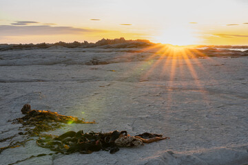 Sunrises colorfully over Kaikoura white mud-stone rock ledges