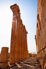 Palmyra Temple of Bel columns