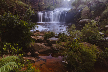 Waterfall in the Budderoo National Park, Nellies Glen in Australia