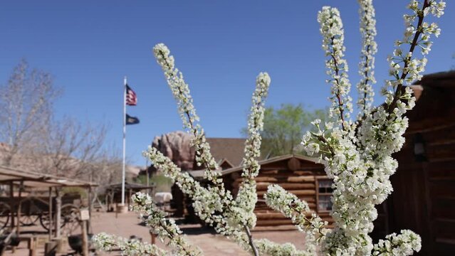 Bluff Fort Southern Utah pioneer cabins HD. Southern Utah pioneer town. Settled by Mormon immigrants. Dry desolate desert with couple hundred residents. Fort built.