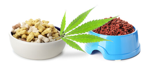 Bowls of dry pet food wit hemp extract on white background