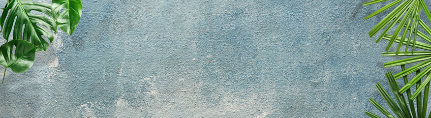 Green tropical leaves on blue grunge background with space for text. Banner for design