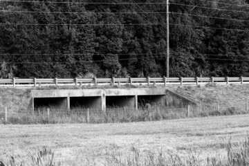 old bridge in the woods with fence and drainage ditch under road barrier 