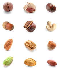 Set of different healthy nuts on white background