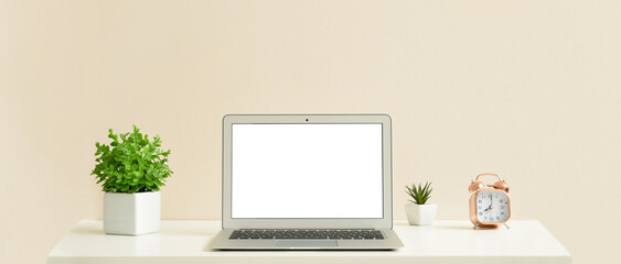 Workplace with modern laptop, houseplants and alarm clock on light background