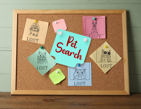 Papers with pictures of different cats and dogs pinned to notice board. Pet search - Powered by Adobe