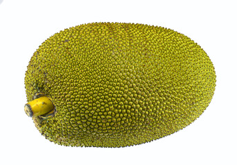 fresh jackfruit isolated on white background