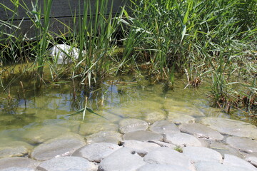 stones lined the banks of a flowing river