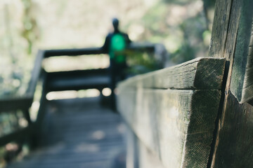 Obraz premium Defocused hiker on viewing platform forest. Back view of person looking in abstract lush foliage on a wooden staircase or boardwalk hiking trail in North Vancouver, BC, Canada. Nature background.
