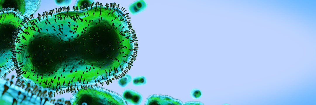 Monkeypox virus, infectious zoonotic disease, background banner with empty space